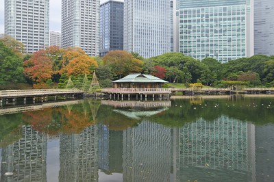 浜離宮恩賜庭園 臨時休園 東京都 の情報 ウォーカープラス