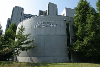 東北大学総合学術博物館 理学部自然史標本館 宮城県 の情報 ウォーカープラス